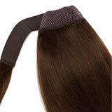 Dark Brown Ponytail